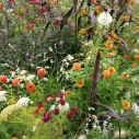 Hermannshof Impressionen