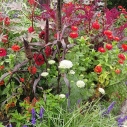 Hermannshof Impressionen