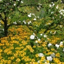 Hermannshof Impressionen